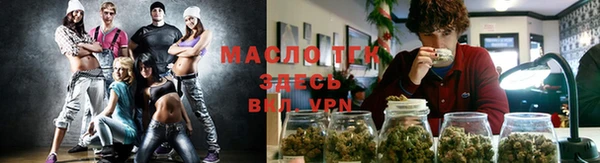 индика Белокуриха