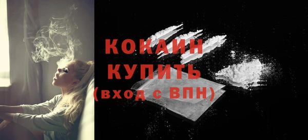 индика Белокуриха