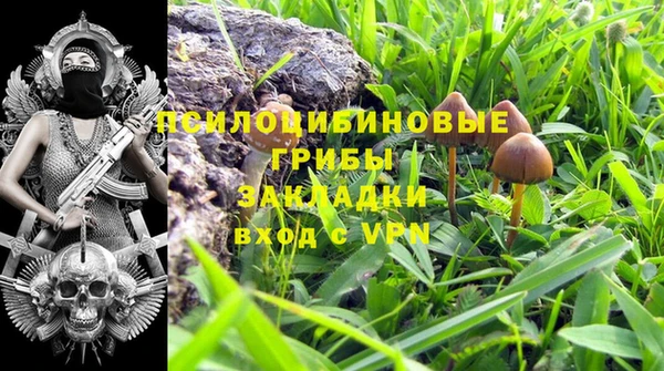 первитин Белоозёрский
