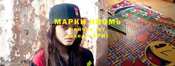 индика Белокуриха