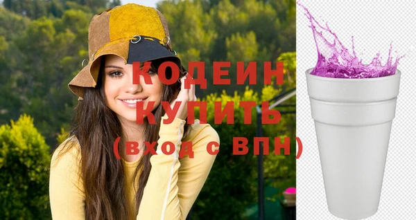 индика Белокуриха