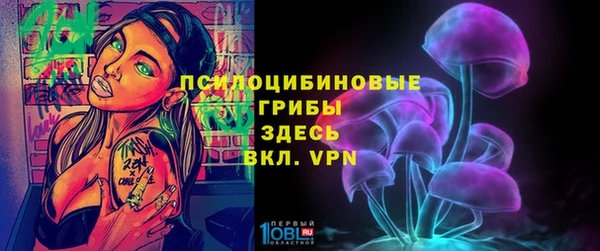 первитин Белоозёрский